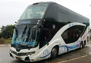 Paradise Travel Bus